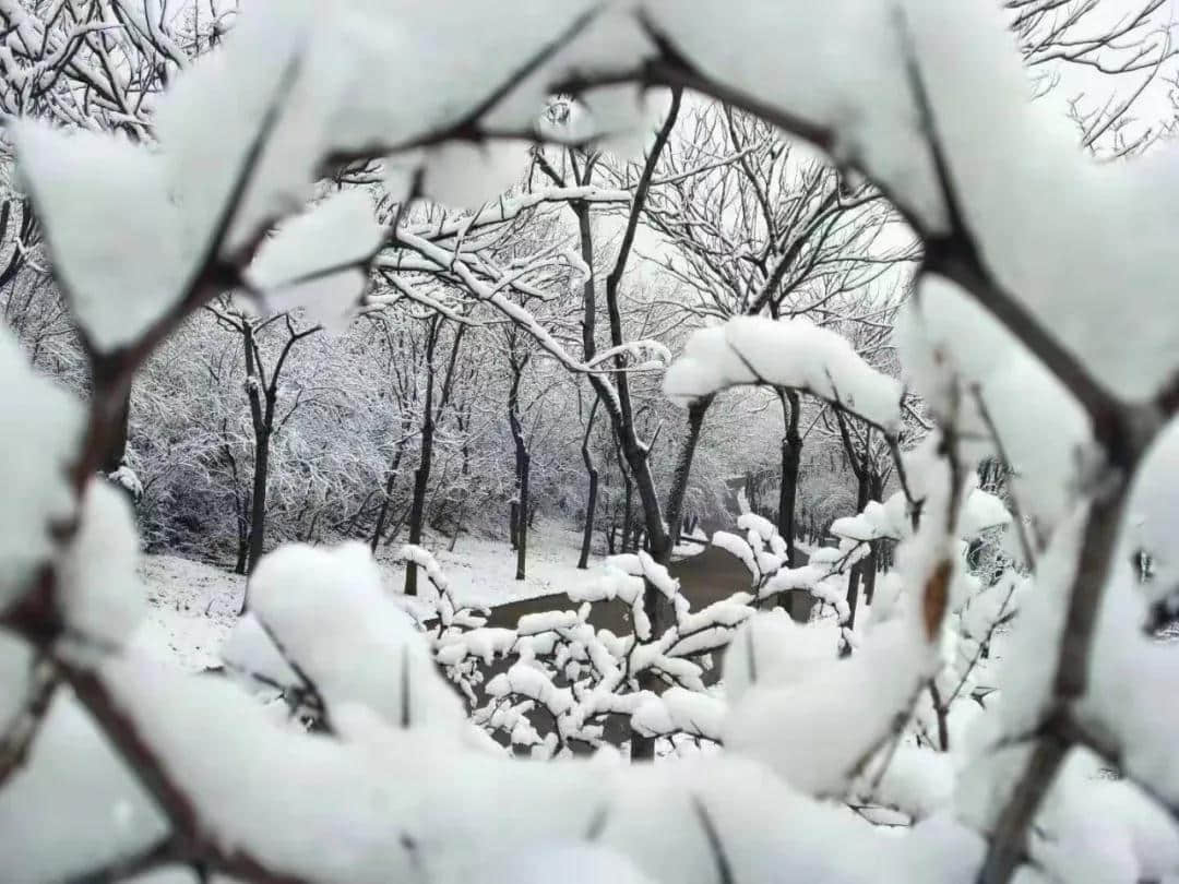 2021年春节后的第一场雪